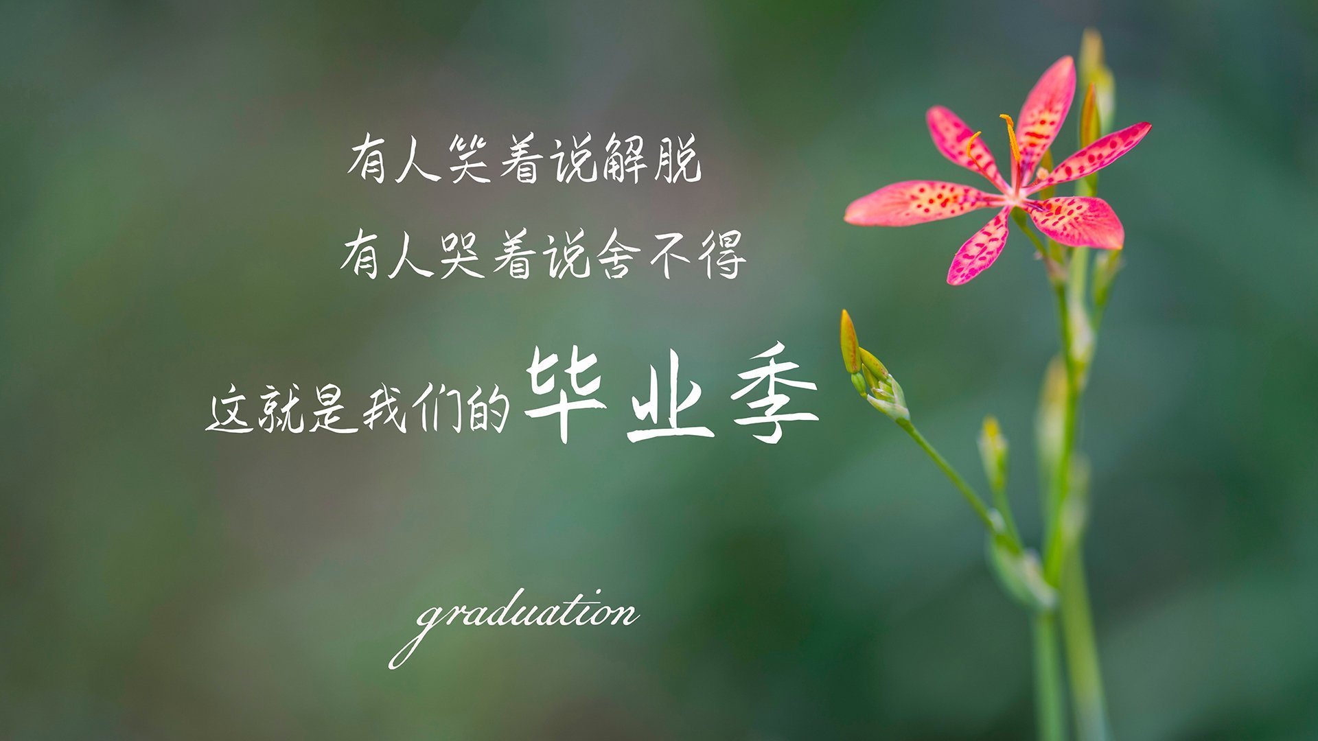 九游电脑版-_费德勒退役仪式隆重举行，告别网球生涯_，费德勒退役没
