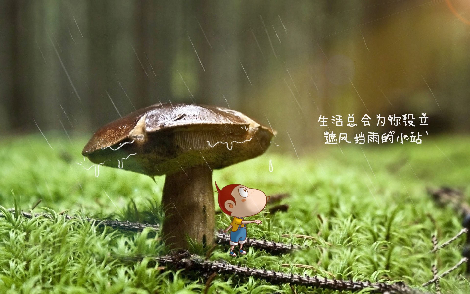 九游娱乐官网 (JIUYOU)-史蒂芬再战篮球场，雄鹿再次登顶总冠军，nba冠军 雄鹿