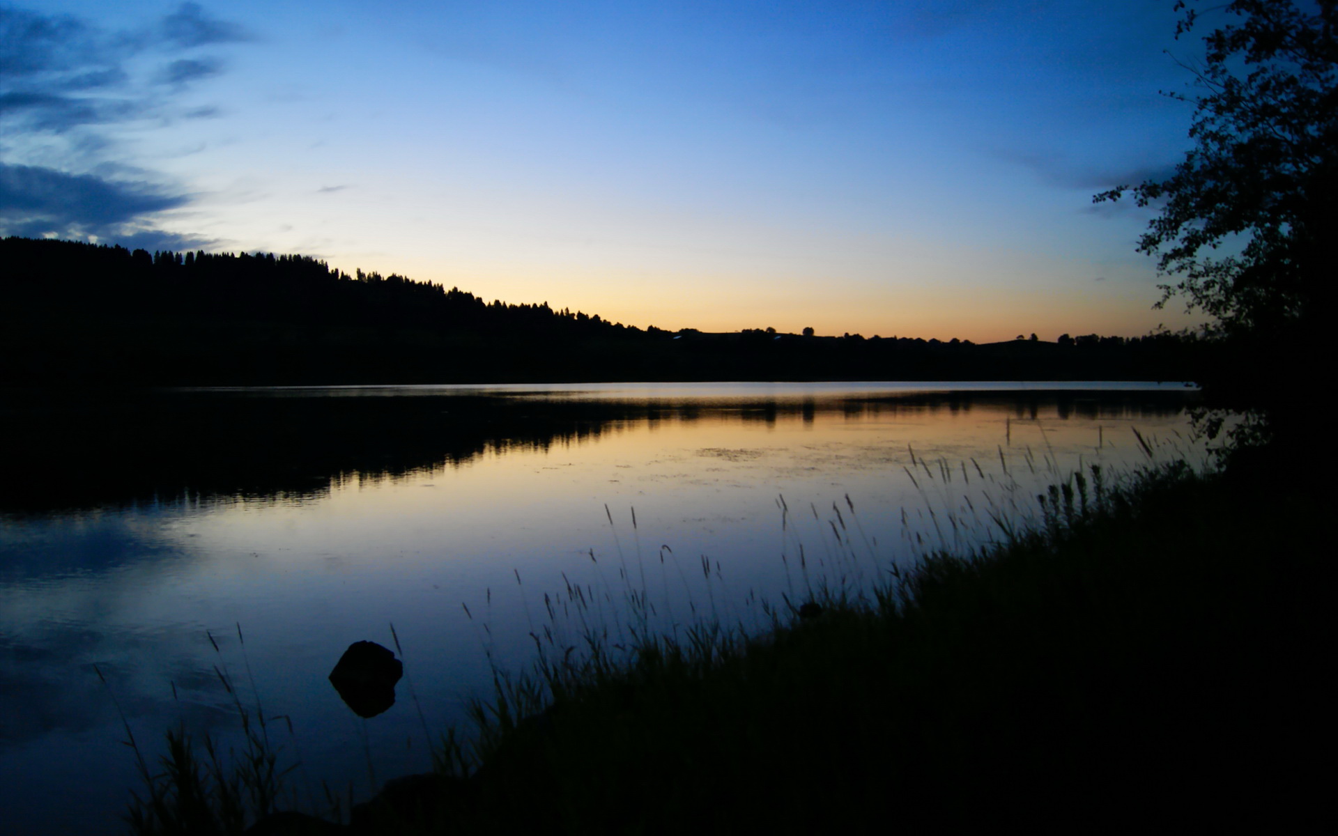 九游电脑版-庞蒂100米蝶泳决赛表现抢眼,100蝶泳冠军