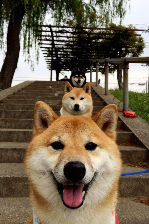 九游娱乐官网 (JIUYOU)-朱婷携手品牌参与公益校园计划,朱婷做了哪些慈善