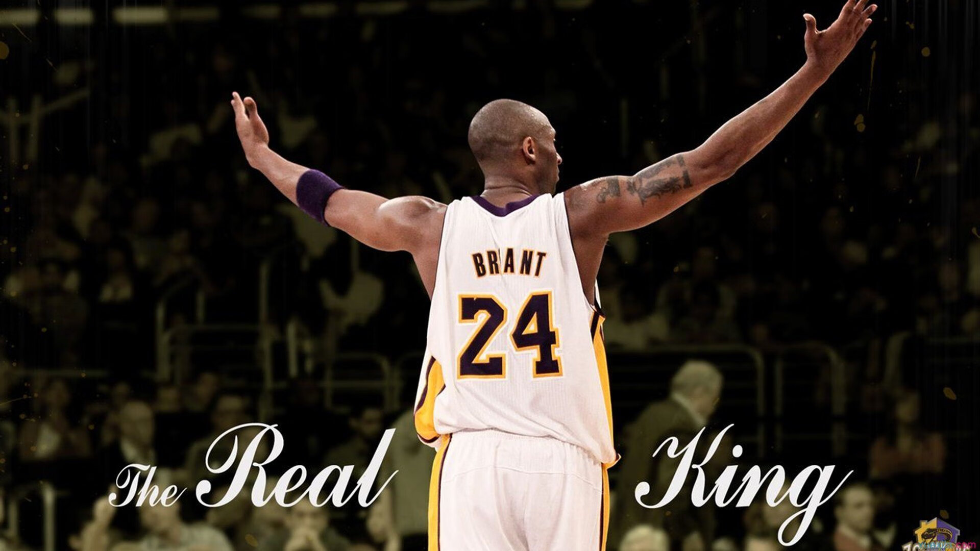 库里：争议中的“天才投手”，用才华定义“远距离射手”！，库里投篮大师课