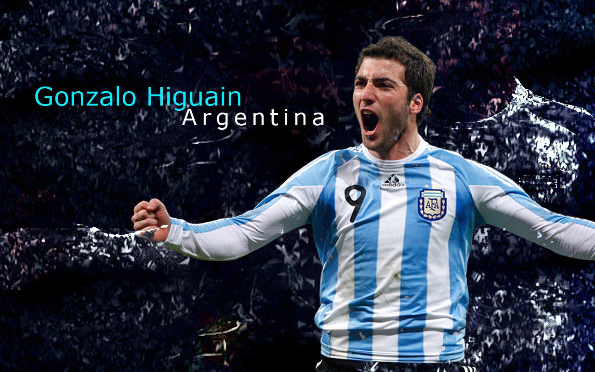 九游官方入口-日本骑手吉塔·日特科维奇荣获2024年最佳障碍赛骑手奖，表彰其卓越表现。